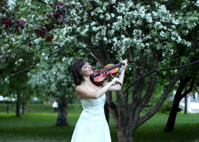 Скрипка на свадьбу