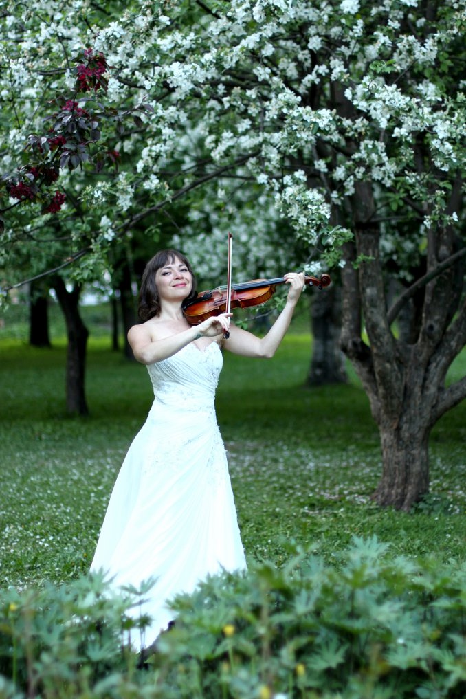 Скрипка на свадьбу