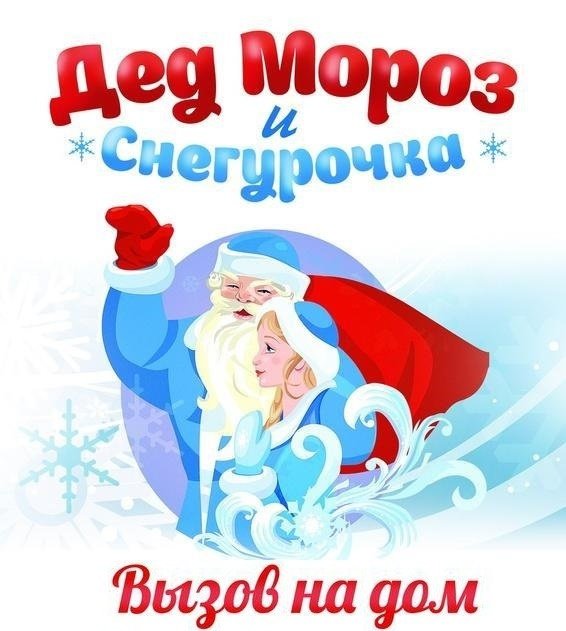 Дед Мороз и Снегурочка | Вологда